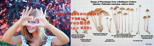 кокс Балахна