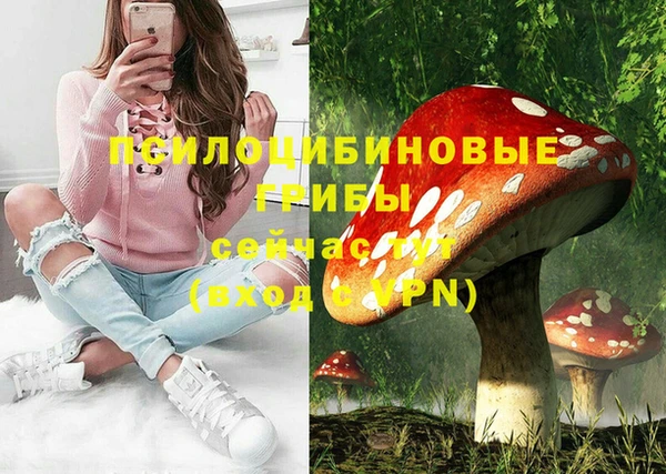 круглые Аркадак