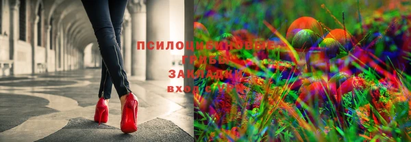 spice Баксан
