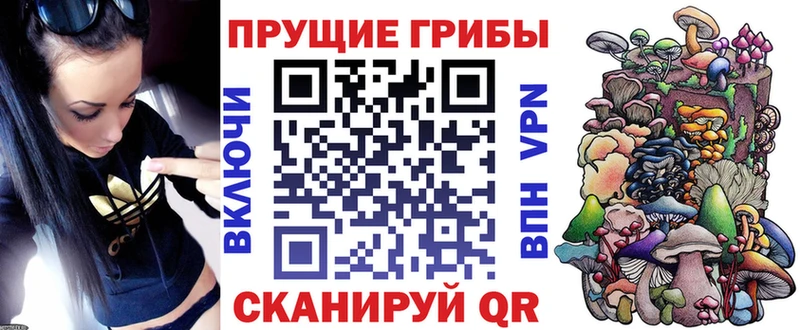 Галлюциногенные грибы прущие грибы  цены   Лыткарино 