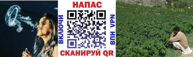 Бошки марихуана SATIVA & INDICA  купить наркотик  Лыткарино 